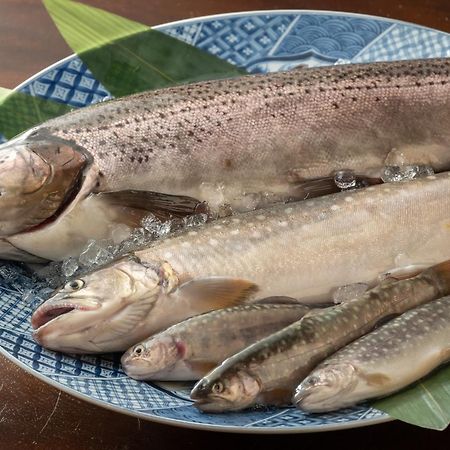 Oyado Tsuruya 호텔 마츠모토 외부 사진