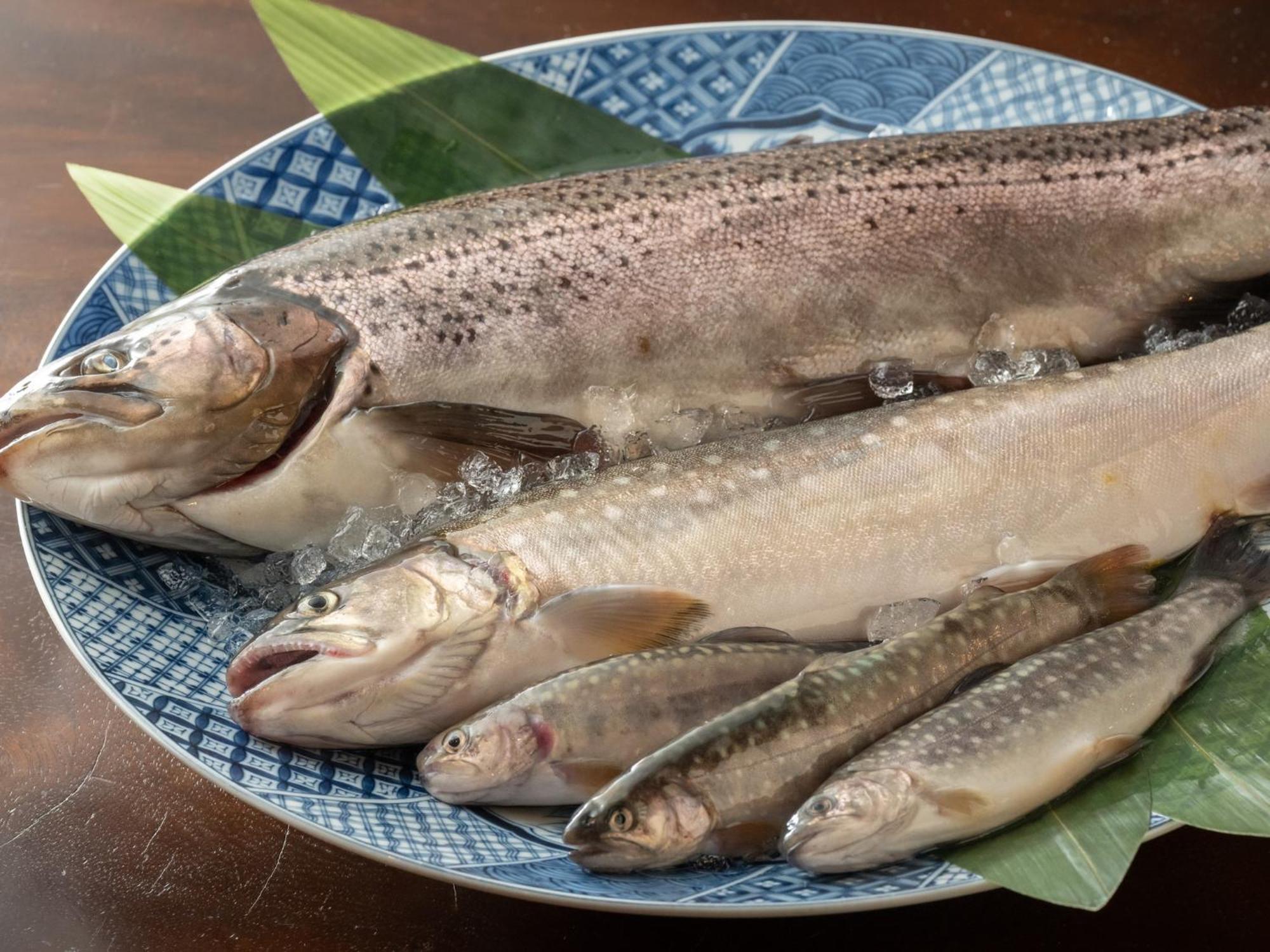 Oyado Tsuruya 호텔 마츠모토 외부 사진